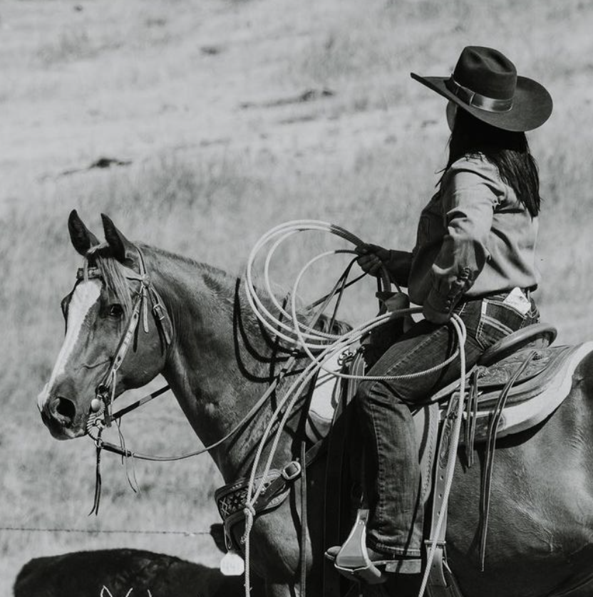 woman and horse at work